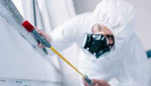 Best Commercial Pest Control  in Eddyville, KY